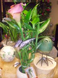 Bamboo Plant