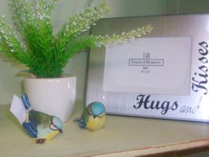 Birds & Frame
