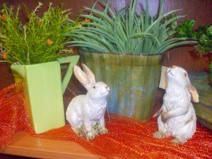 Bunnies
