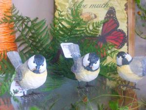 Chickadees