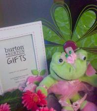 Plush Frog