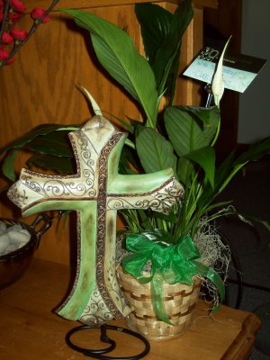Plant with Cross